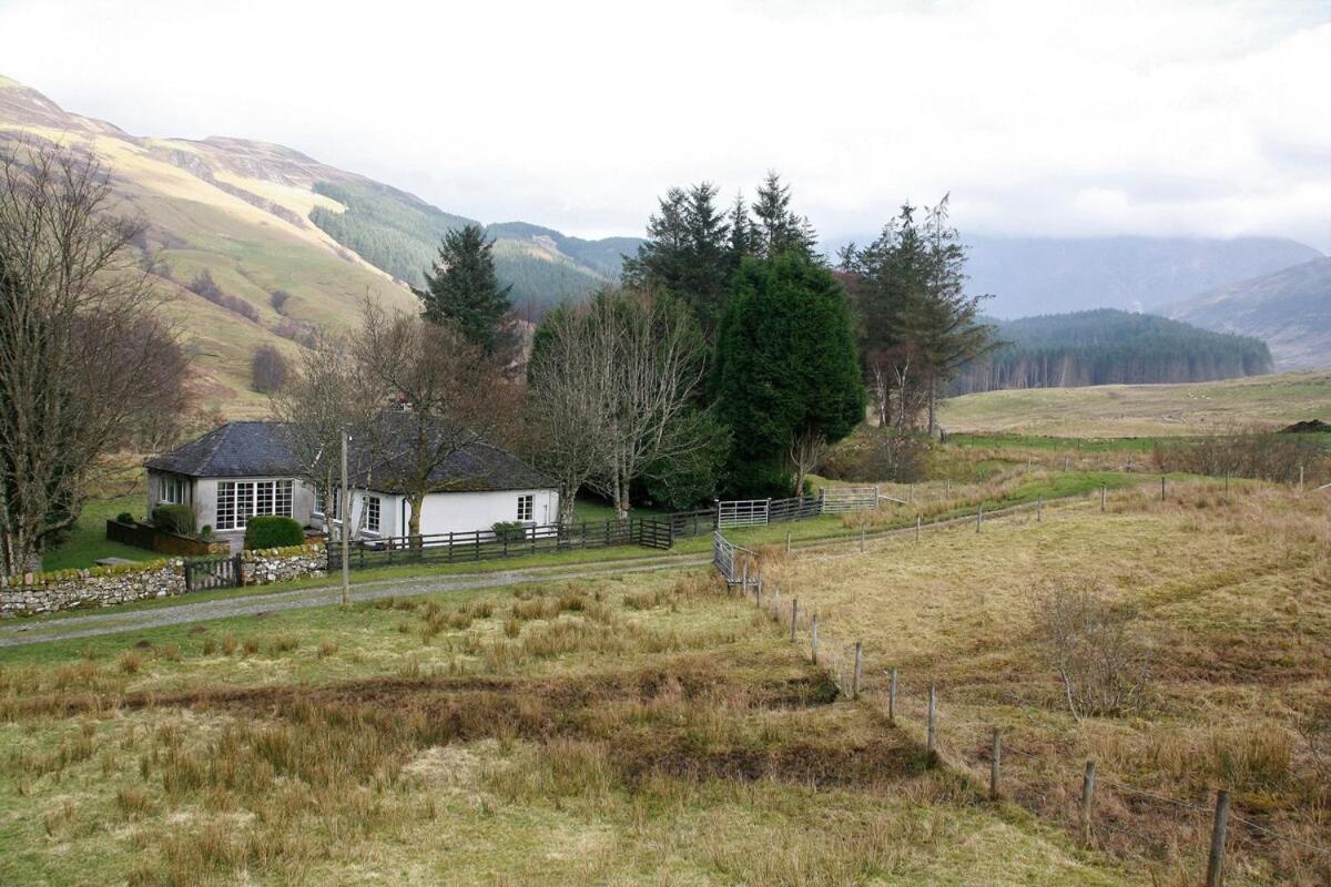 Highland William