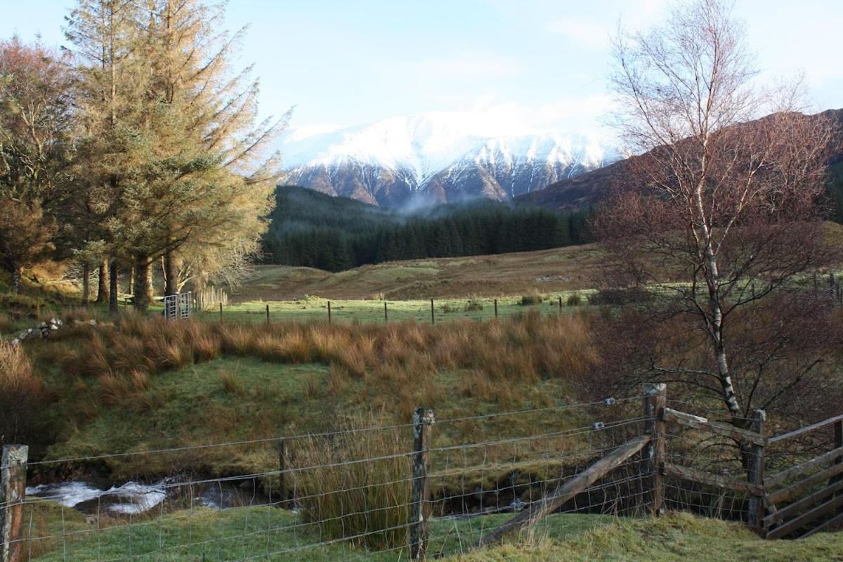 Highland William